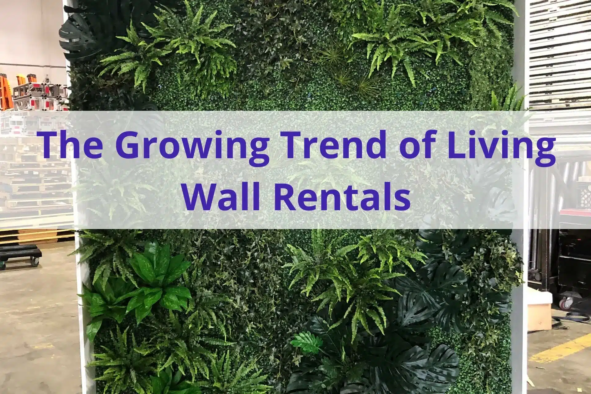 The Growing Trend of Living Wall Rentals - Expo Ease