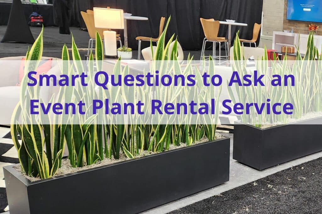 text 'smart questions to ask an event plant rental service' with a row of tall green plants in the background